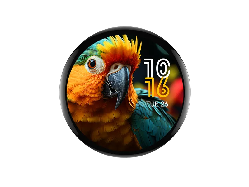 Round AMOLED screen, 1.75-inch