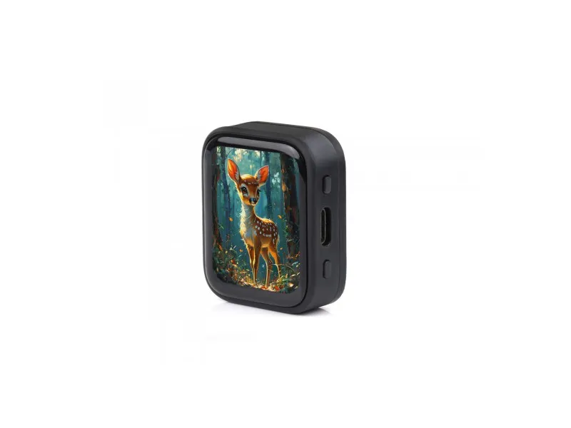 AMOLED touch screen, 1.8-inch